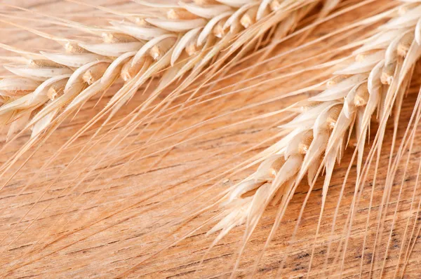 Wheat on the wood background — Stock Photo, Image