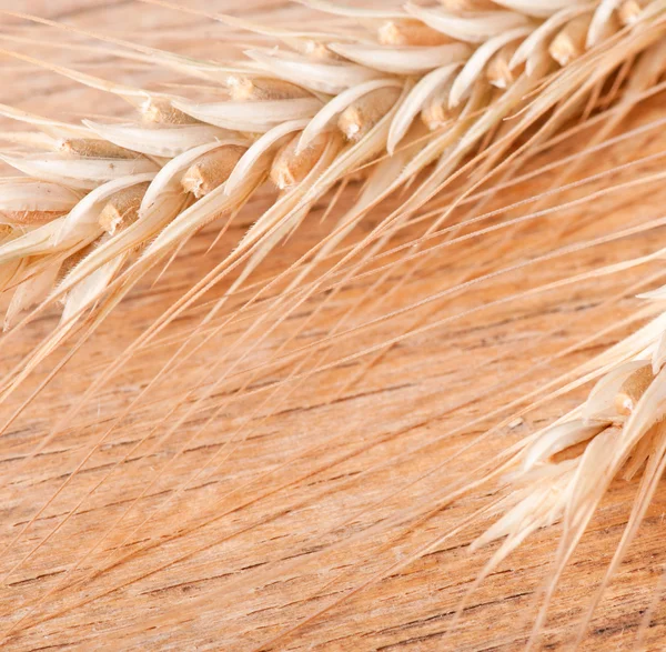 Wheat on the wood background — Stock Photo, Image