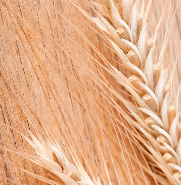 木製の背景に小麦の耳 — ストック写真