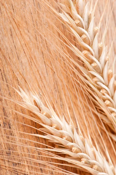 Orejas de trigo sobre un fondo de madera — Foto de Stock