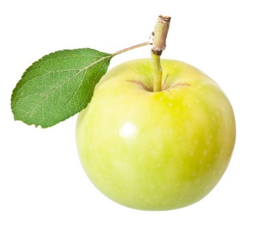 Apple on a white background clipart