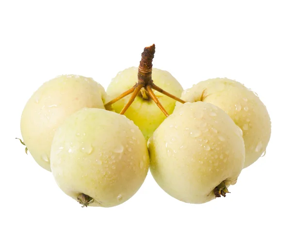 Beyaz arkaplanda elmalar — Stok fotoğraf