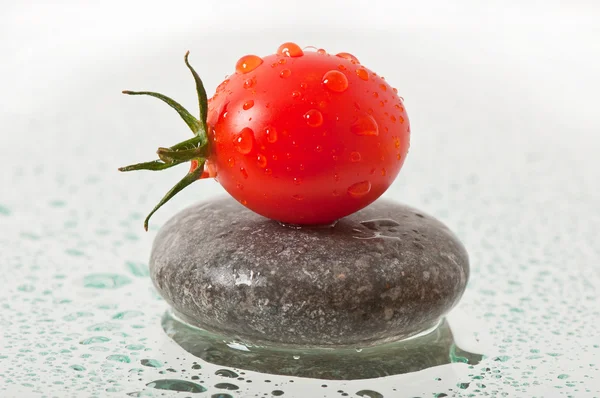 Tomate nas gotas de orvalho — Fotografia de Stock