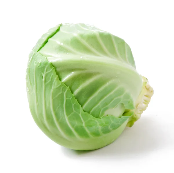 Green cabbage — Stock Photo, Image