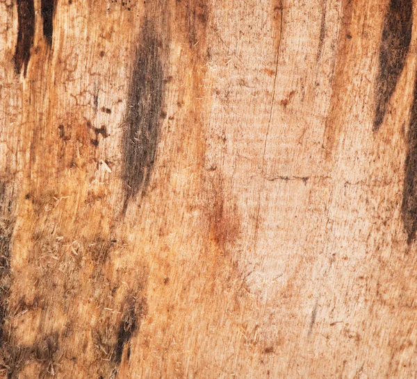 Vieux fond en bois — Photo