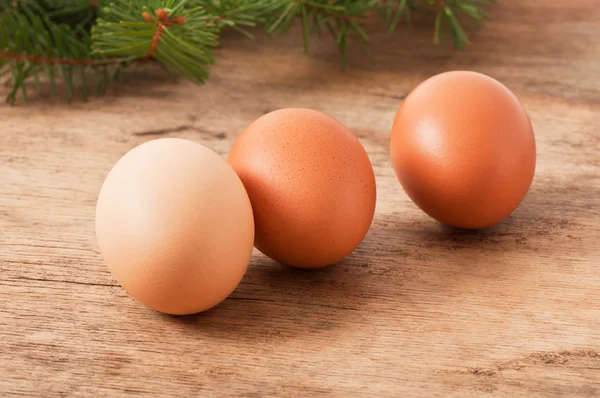 Chicken egg — Stock Photo, Image