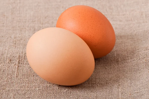 Chicken egg — Stock Photo, Image