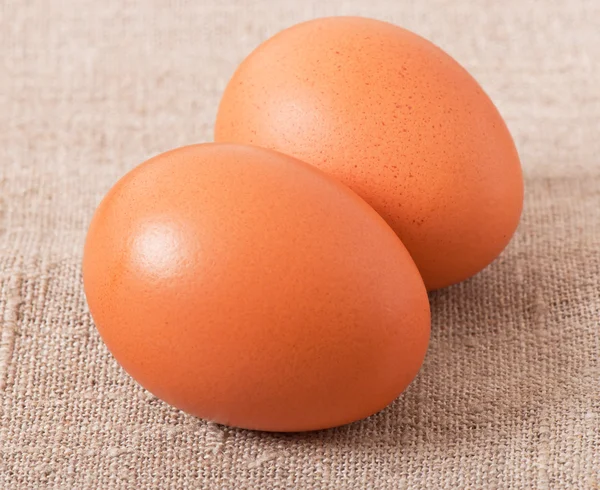 Chicken egg — Stock Photo, Image