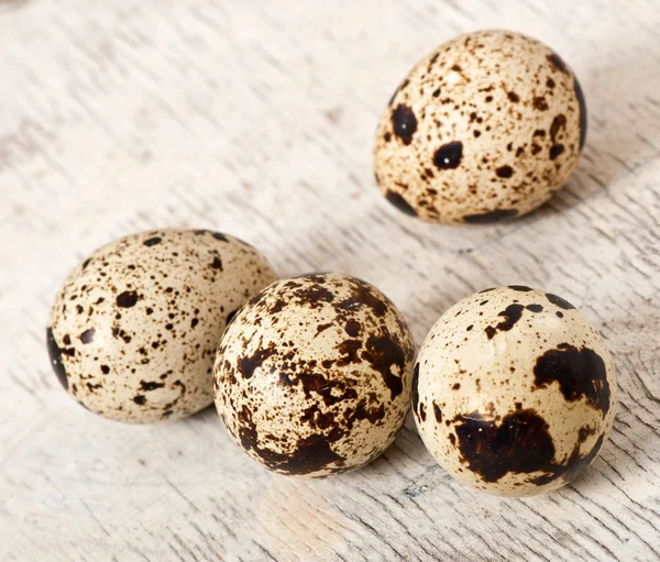 Quail eggs — Stock Photo, Image