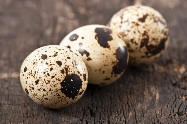 Quail eggs — Stock Photo, Image