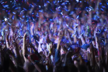 Müzik Festivali izleyici