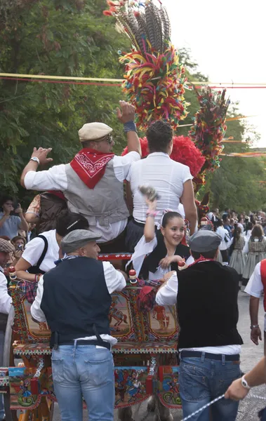 Traditionele Siciliaanse paard-cart — Stockfoto