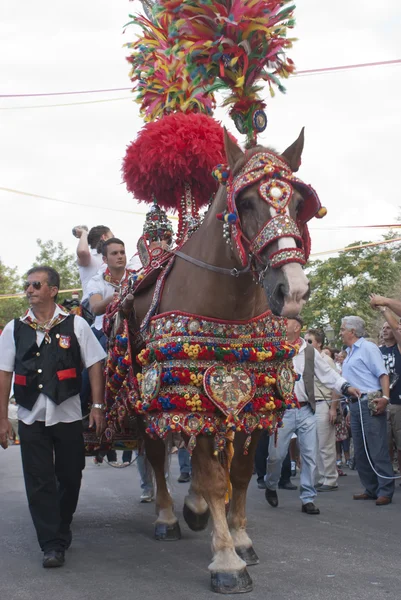 Traditional sicilian horse-cart — Stock Photo, Image