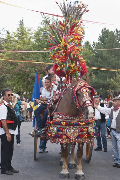 Tradiční sicilské koně vozík — Stock fotografie