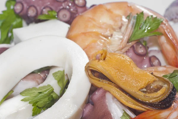 Salad seafood . — Stok Foto