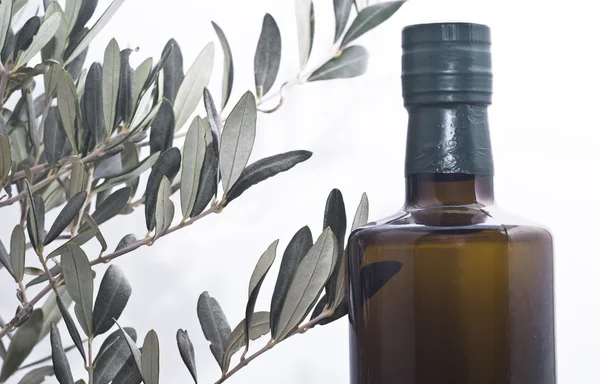 Branche d'olive et une bouteille d'huile d'olive — Photo
