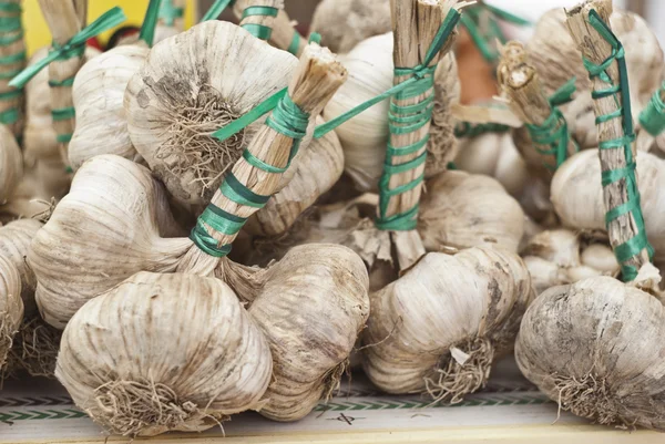 Fresh garlic for sale — Stock Photo, Image