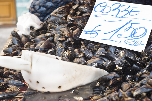 mussels for sale at the local market