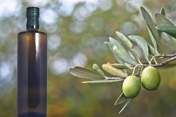 Yeşil Zeytin ve şişe — Stok fotoğraf