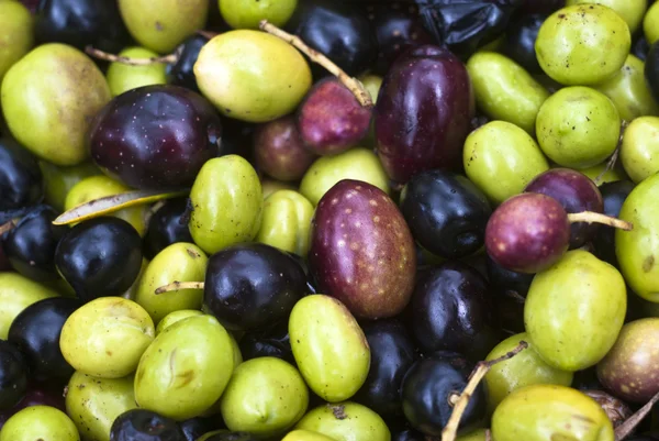Sicilian olives background — Stock Photo, Image