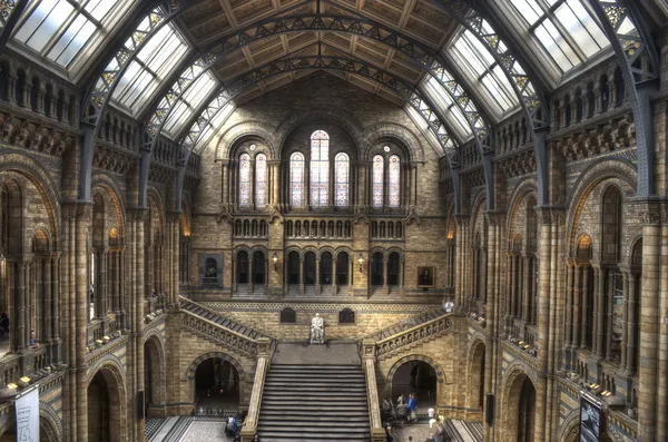 The Natural History Museum of London — Stock Photo, Image