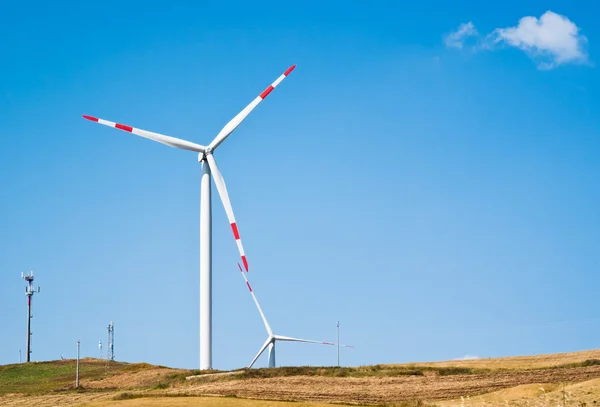 Korenveld met windmolens — Stockfoto