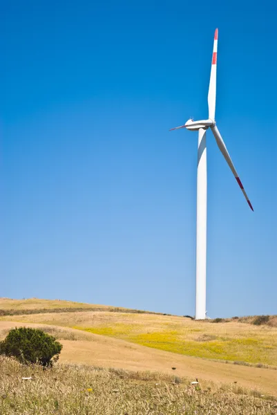 Korenveld met windmolens — Stockfoto