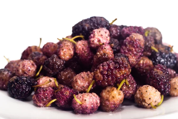 Färska mulberry — Stockfoto