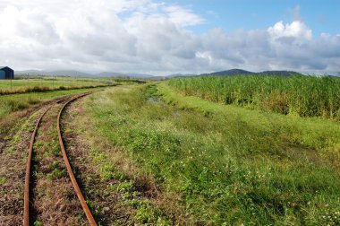 Queensland sugar cane railways clipart