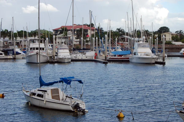 Yachts à la marina — Photo