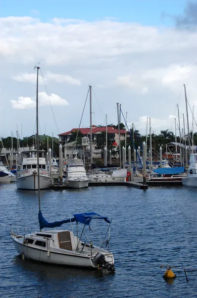 Jachten in marina — Stockfoto