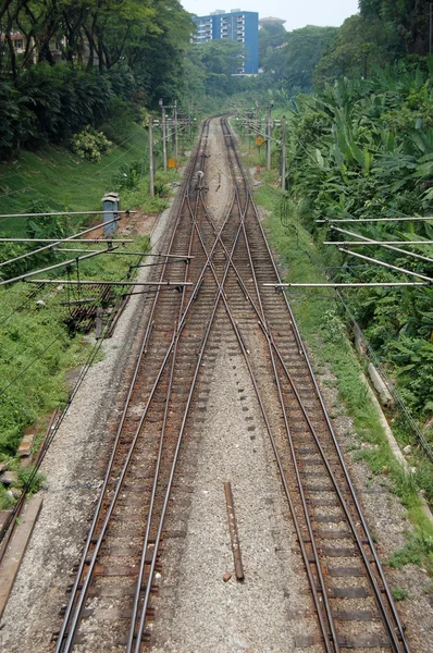 Järnvägen fodrar i kuala lumpur — Stockfoto