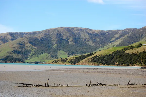 Un accroc sur la côte maritime — Photo