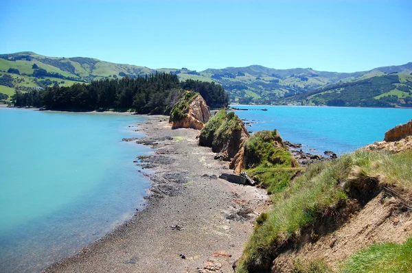 Onawe półwysep Nowa Zelandia — Zdjęcie stockowe
