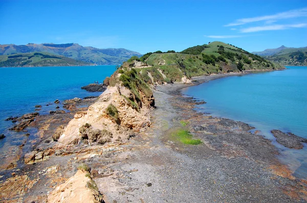 Onawe Peninsula New Zealand — Stock Photo, Image