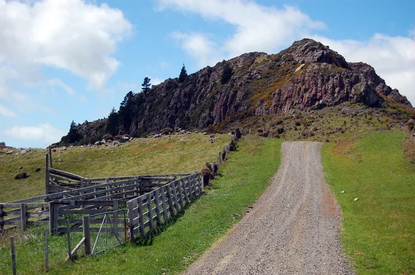 Gravel road and farm fence