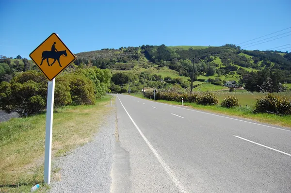 Sarı yol işaret horseriding Yeni Zelanda — Stok fotoğraf