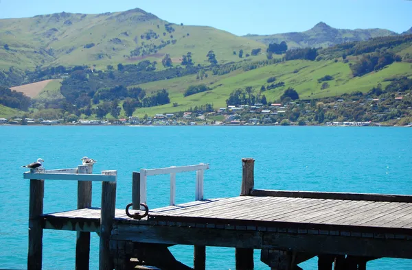 Muelle de madera bahía de Akaroa — Foto de Stock