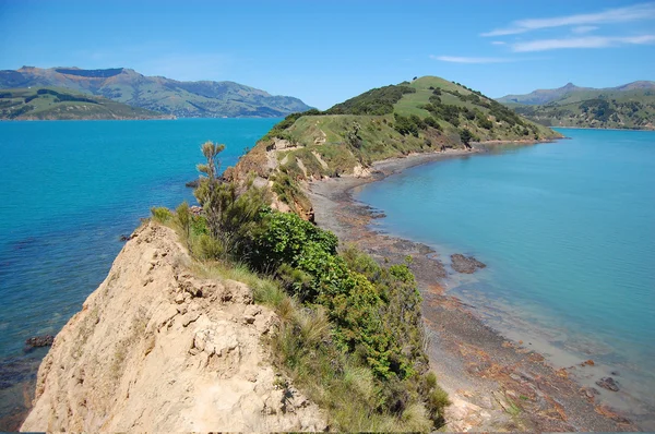 Onawe schiereiland Nieuw-Zeeland — Stockfoto