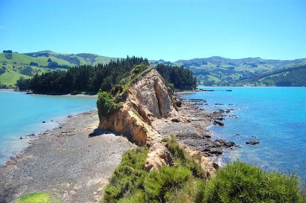Onawe schiereiland Nieuw-Zeeland — Stockfoto