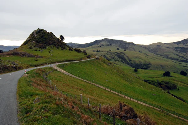 Route de montagne zone rurale Nouvelle-Zélande — Photo