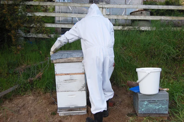 Man works with beehive — Stock fotografie