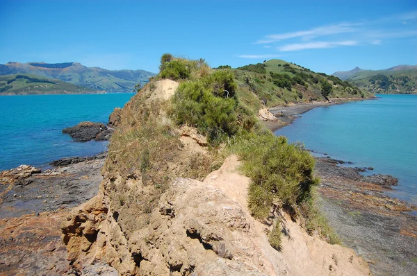 岩が多い半島ニュージーランド — ストック写真