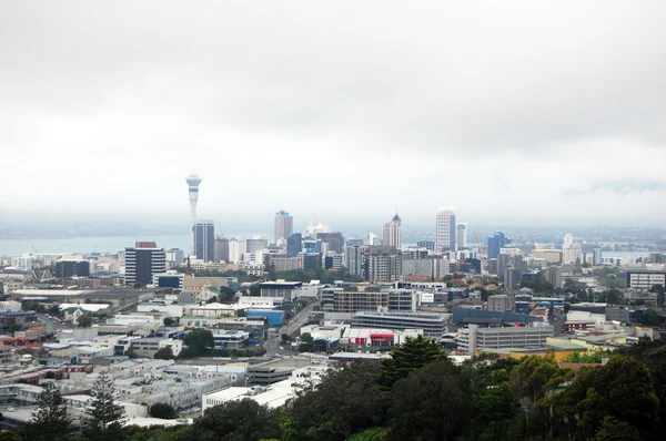 Vista del centro de la ciudad de Auckland desde el Monte Eden — Foto de Stock