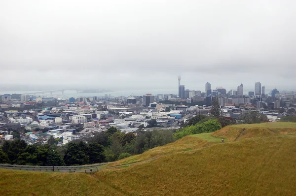 Auckland city view from Mount Eden — Stock Photo, Image