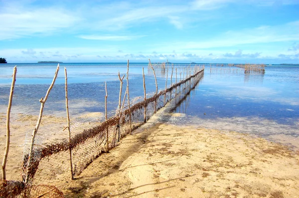 Fishing net — Stock Photo, Image