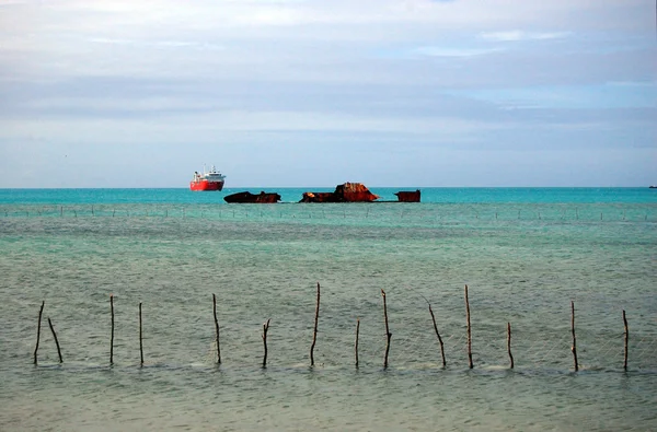 Rotes Frachtschiff im Fischernetz — Stockfoto