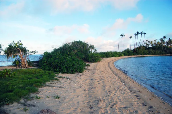 Pazifischer Sandstrand — Stockfoto