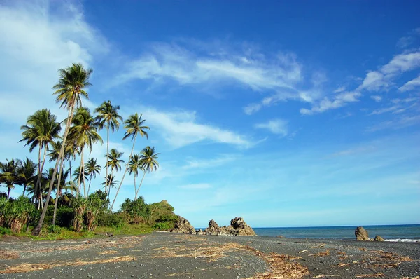 Palmy na morzu wybrzeża — Zdjęcie stockowe