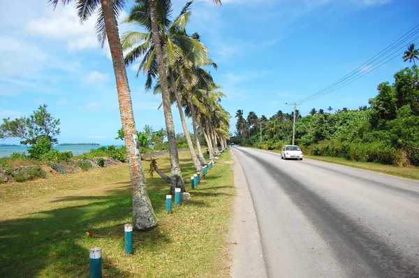 Vit bil på väg med palmer — Stockfoto
